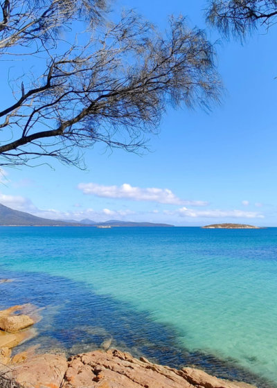 Dolphin Sands / Swansea