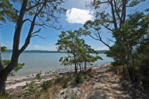003-cloudy-bay-lagoon-estate-beach-1000x667-3034