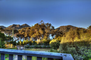 006-cove-beach-apt-2