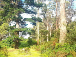 010-eco-retreat--owner-(1)