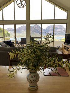 010-freycinet-beach-house