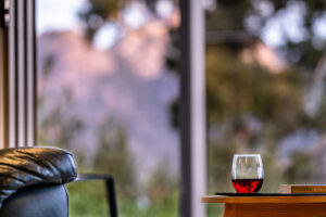 027-driftwood-puddlehub