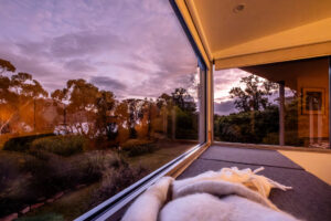 031-driftwood-puddlehub