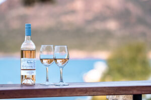 032-harbour-master_freycinet-holiday-houses_puddlehub_2023-36