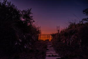 046-willoah_freycinet-holiday-houses_puddlehub_-6593