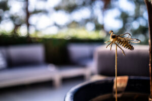 gypsies-rest_freycinet-holiday-houses_puddlehub-2023-101-enhanced-nr
